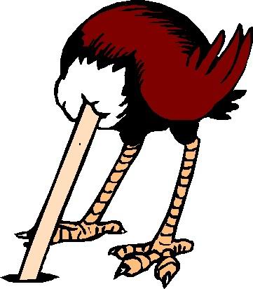 Ostrich Clip Art Free - Free Clipart Images