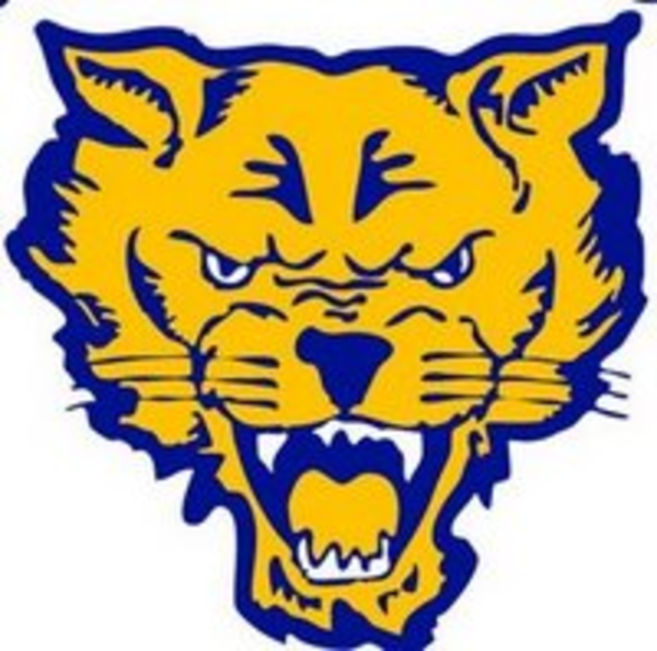 Wildcats Clipart - ClipArt Best