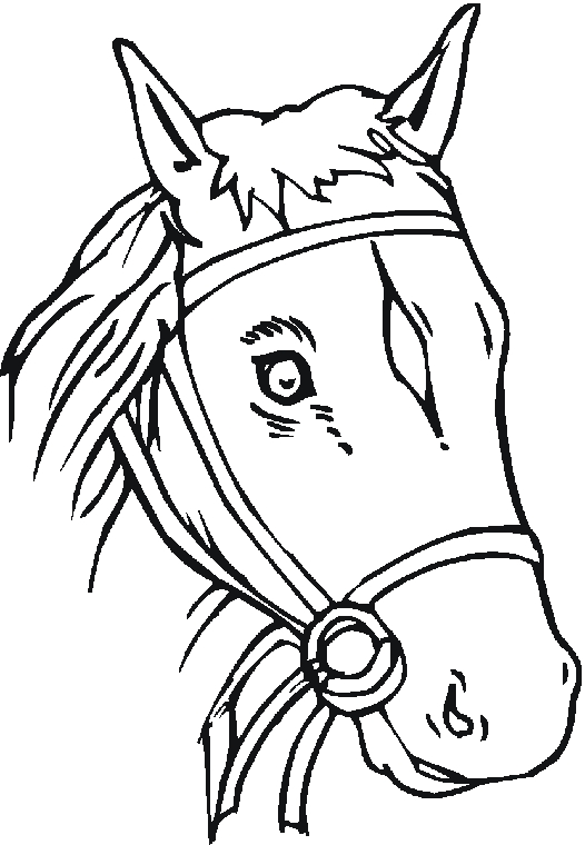 horse head coloring page getcoloringpages Horse Head Coloring Page ...