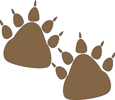 Bear Paw Clipart