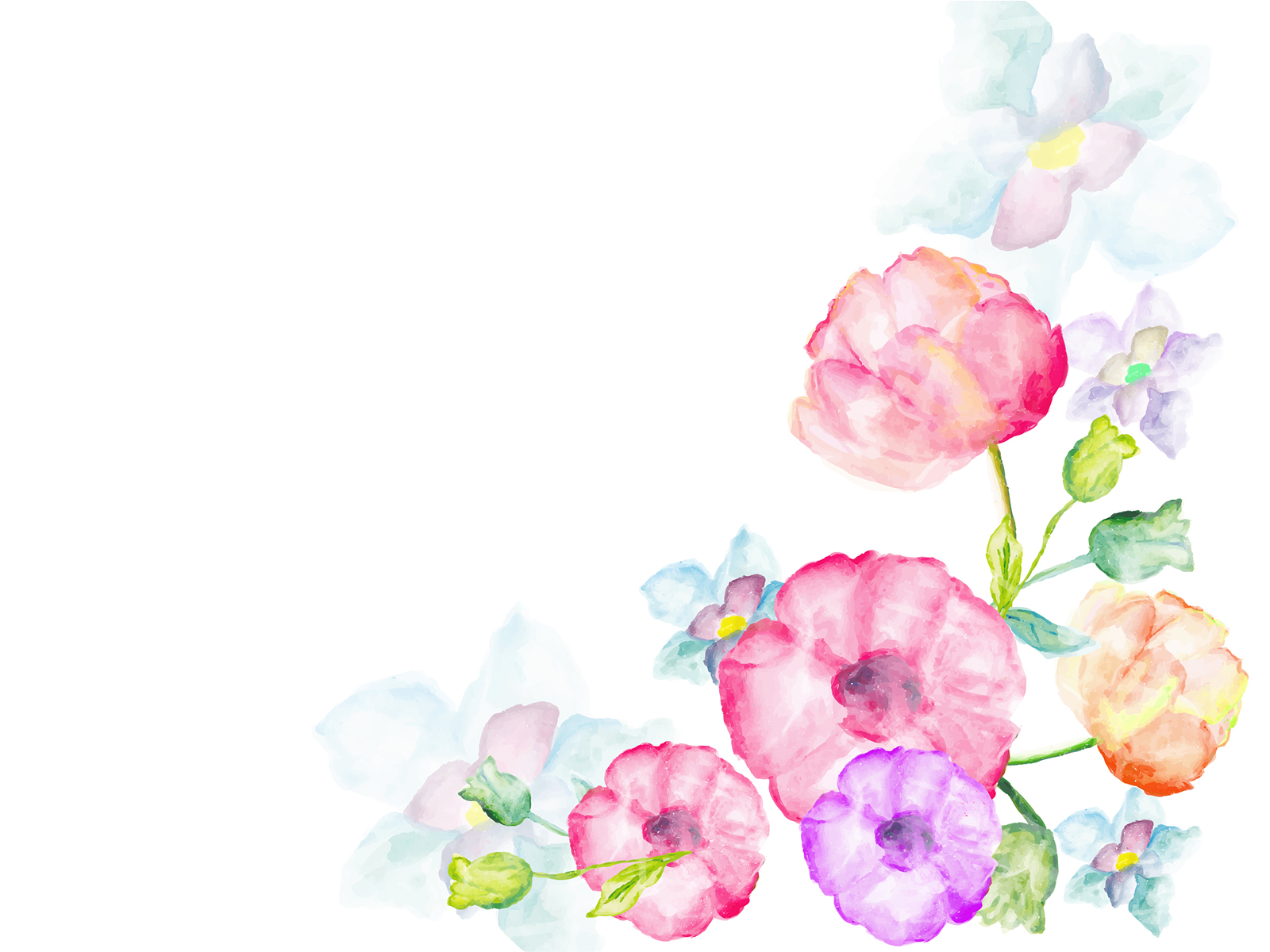 Watercolor flowers greetings Backgrounds - Flowers, Pink, Red ...