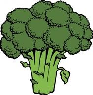 Broccoli Clip Art – Clipart Free Download