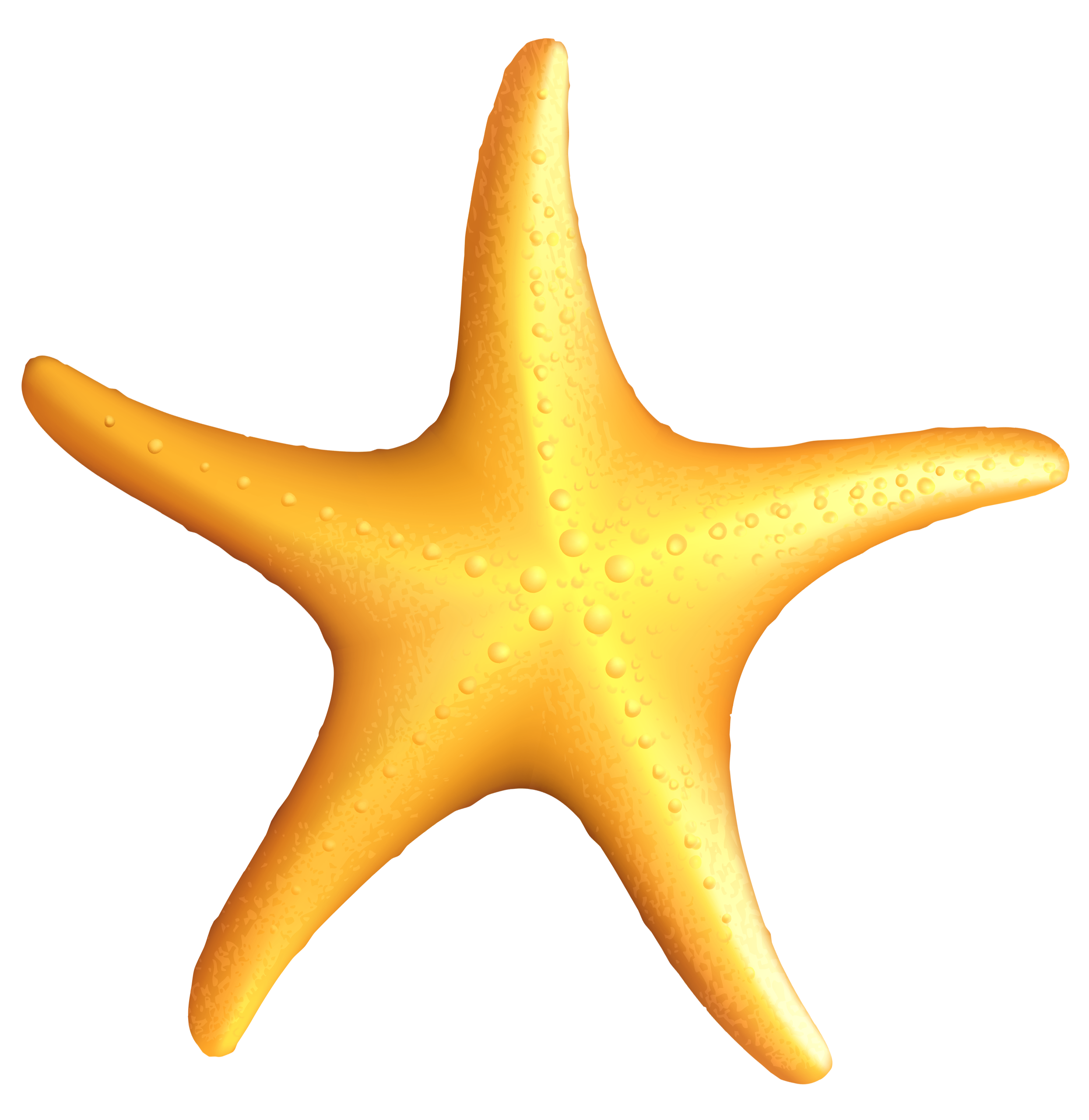 Starfish Clip Art – Clipart Free Download