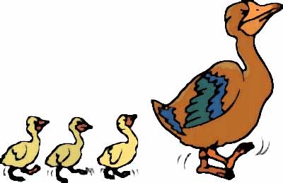 Duck And Ducklings Clipart