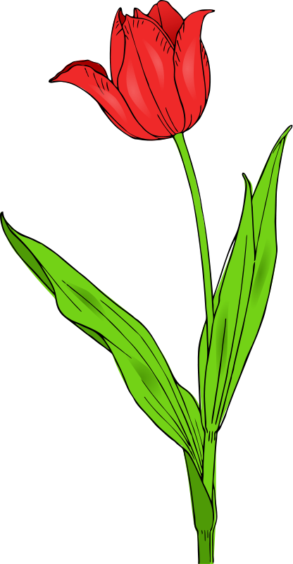 Flower Stem Clip Art – Clipart Free Download