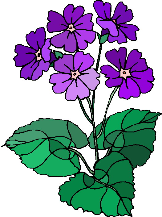 Plants Clipart | Free Download Clip Art | Free Clip Art | on ...