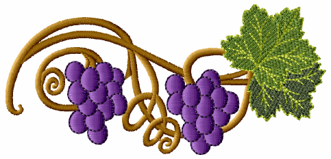 Grape Vines