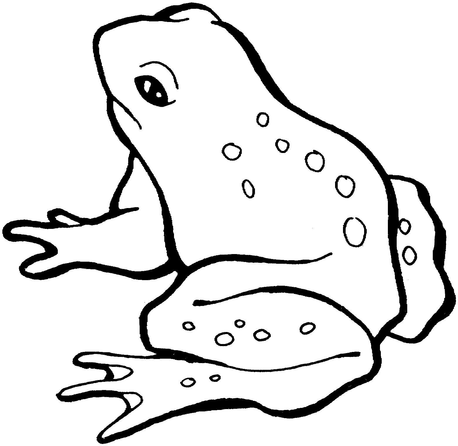 Free Frog Coloring Pages