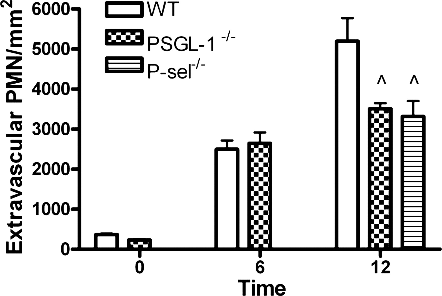 Platelets enhance neutrophil transendothelial migration via P ...