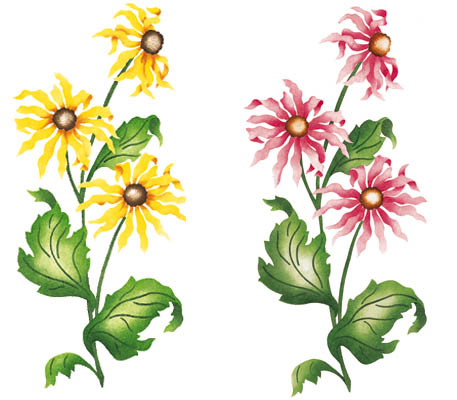 Wall Mural Stencils | Accent Stencils | Cone Flower Border