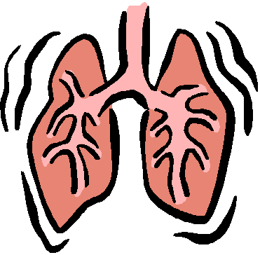 Pix For > Lung Animation Gif