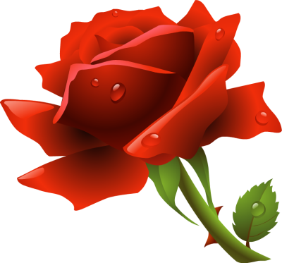 Rose flower clipart png