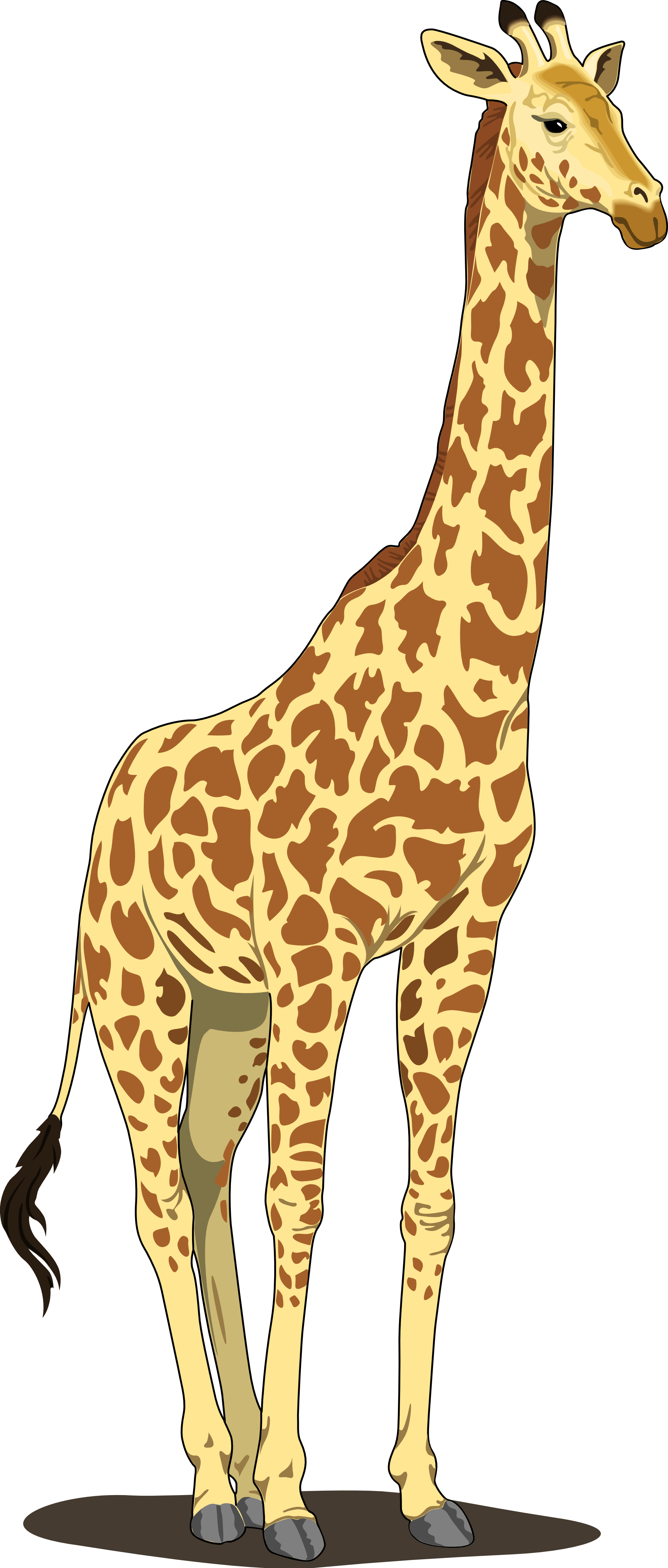 Cartoon Giraffe Face - ClipArt Best