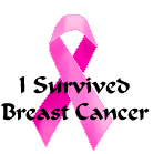 Breast Cancer Clip Art - Pink Ribbons - I Survived Breast Cancer ...