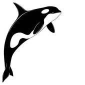 Orcas Clip Art - Free Clipart Images