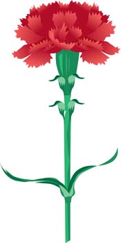 Carnation Clip Art, Vector Carnation - 13 Graphics - Clipart.me