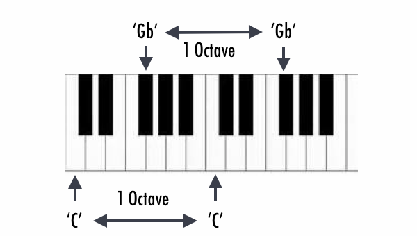 Octave: Definition, Function & Examples | Study.com