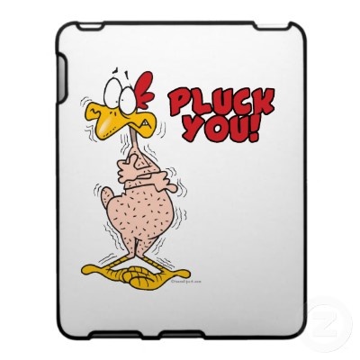 1000+ images about Chicken Cartoons