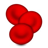 Red Blood Cell Cartoon - ClipArt Best