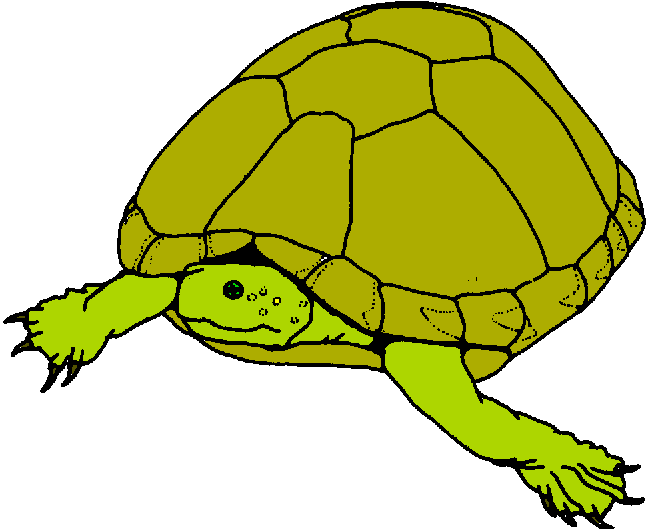 Free Tortoise Clipart Image - 8519, Tortoise Clip Art Tortoise ...