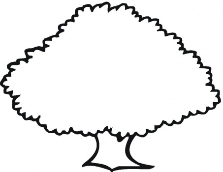 Cartoon Tree Outline - ClipArt Best