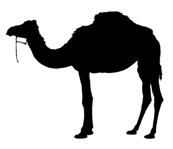 Camel Silhouette 1 Decal Sticker