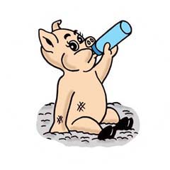 Baby Pig Cartoon - ClipArt Best