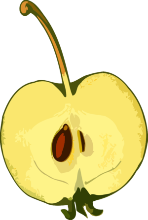 Half apple low resolution - vector Clip Art