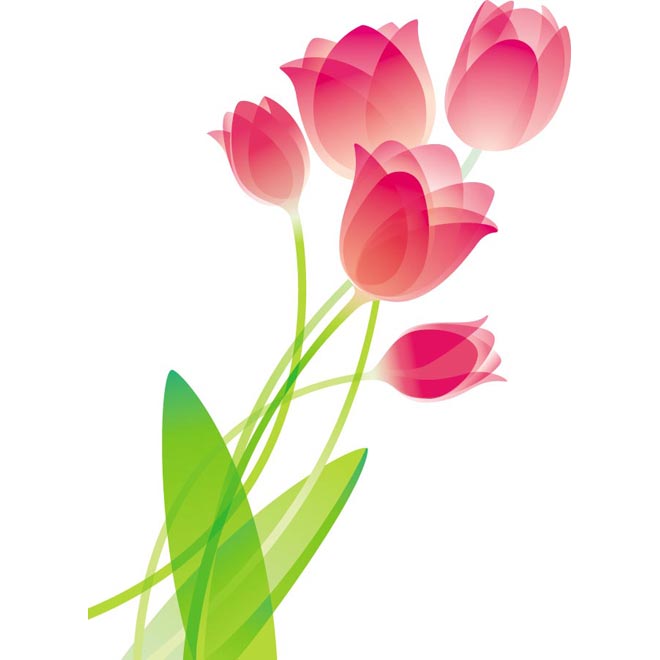 1000+ images about Tulip vector clipart | Cutting ...