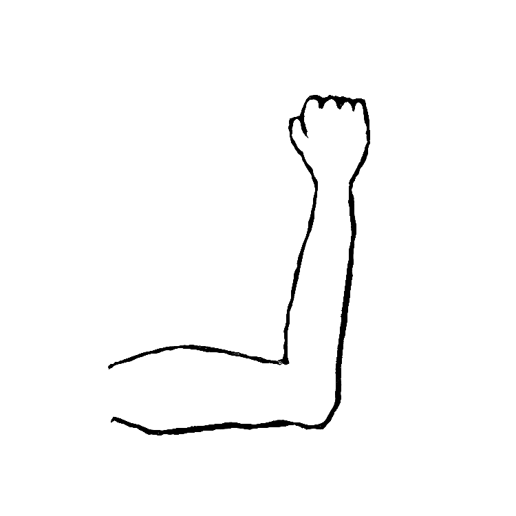 Arm Clip Art - Tumundografico
