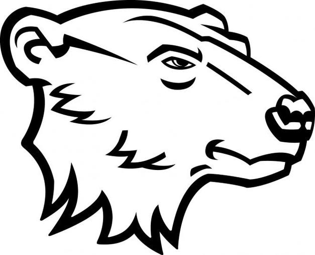 Bear Head Drawing Clipart - Free to use Clip Art Resource