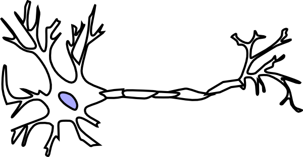 Neuron 20clipart - Free Clipart Images
