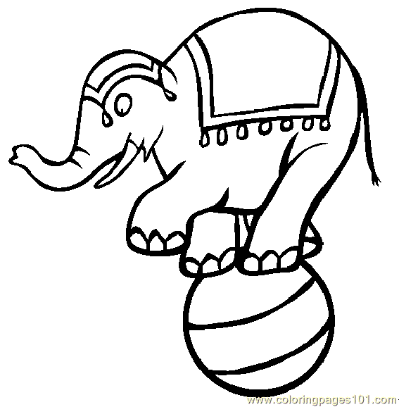 Circus Elephant Coloring Pages - Free Clipart Images