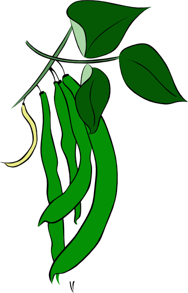 Green Bean Clip Art - Tumundografico