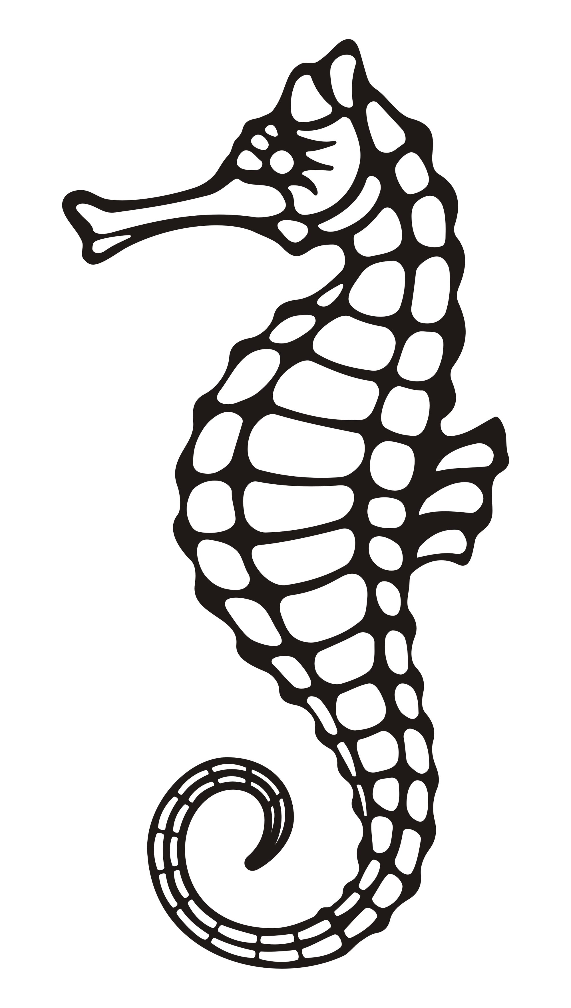 Seahorse drawing outline cliparts - dbclipart.com