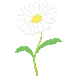 Drawn Daisy - ClipArt Best