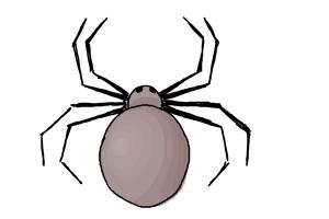 How to Draw a Simple Spider | DrawingNow