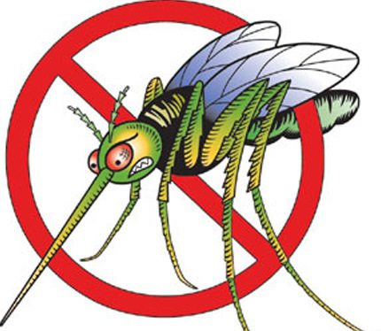 Mosquito clipart images