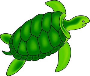 Cartoon sea turtle how to draw a turtle cartoon lesson clipart ...