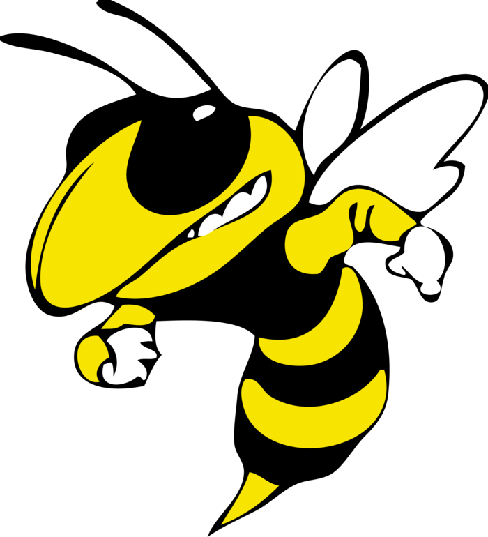 Bumble Bee, bumble, bee, bumble bee, stinger, fighting, mascot BIG ...