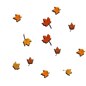 Fall Leaves by notwritten on DeviantArt