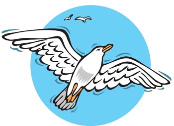 Seagull Clip Art - Images, Illustrations, Photos