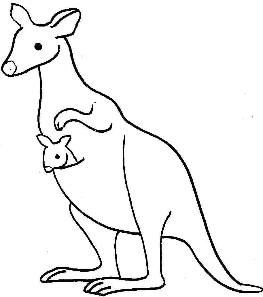 Kangaroo Drawing