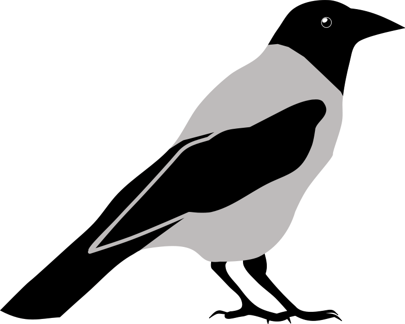 Crow_clipart_1.png