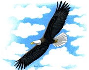 Bald Eagle Drawings for Sale