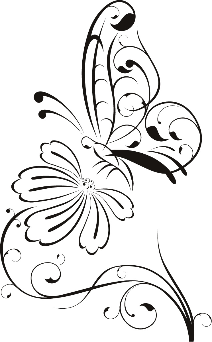 Flower Drawing Outline - Drawing And Sketches