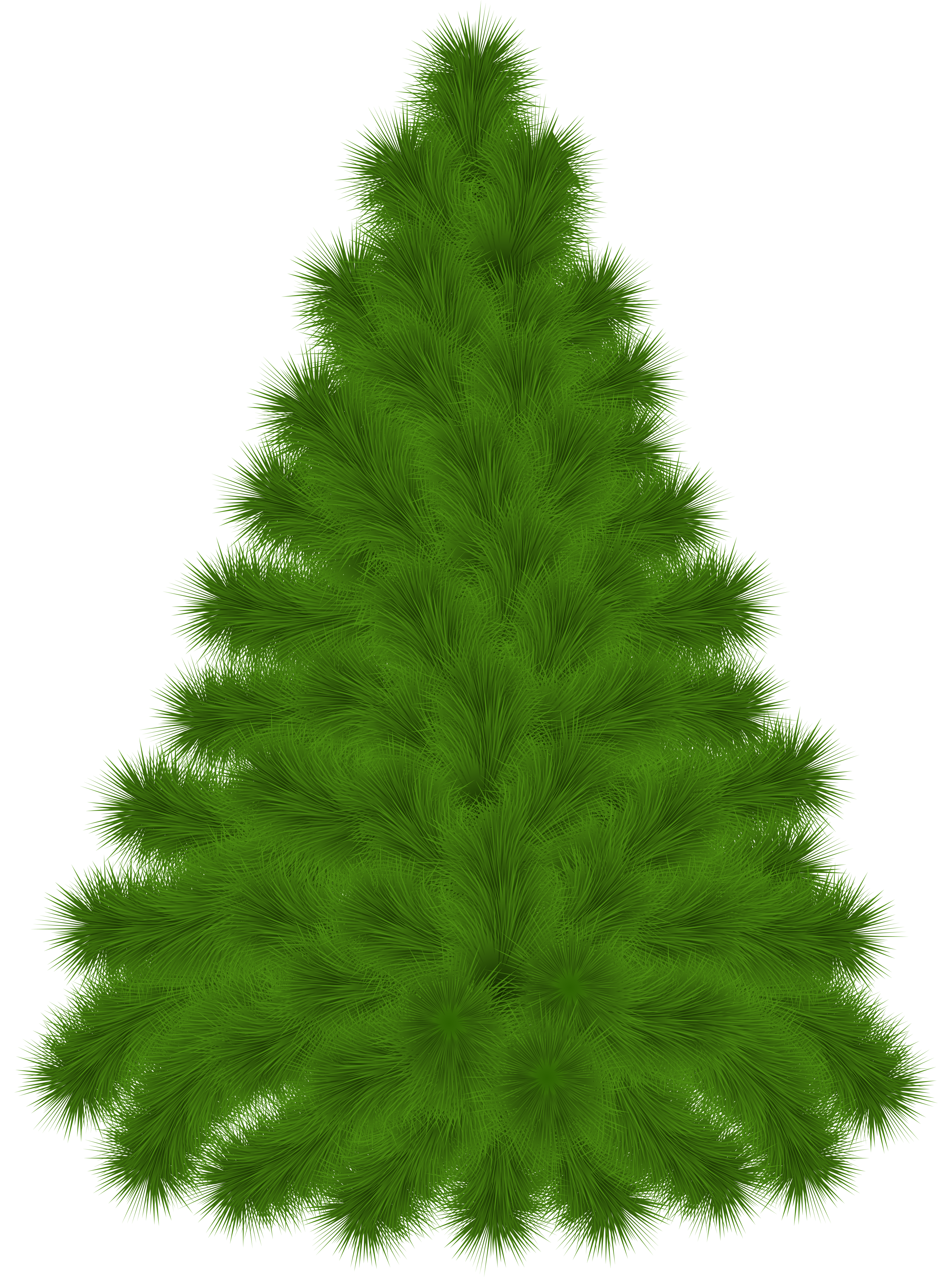 Pine Tree PNG Clipart Picture