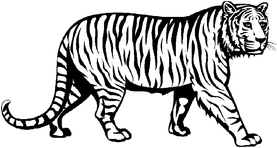 Black and white clipart of tiger