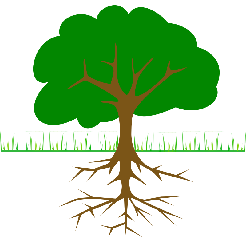 Tree With Roots Clip Art