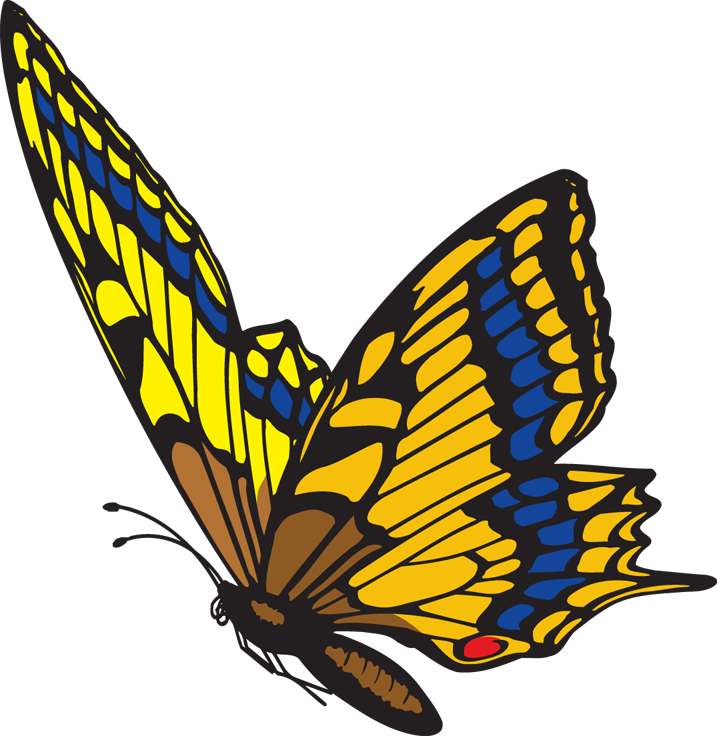 Butterfly in flight clipart